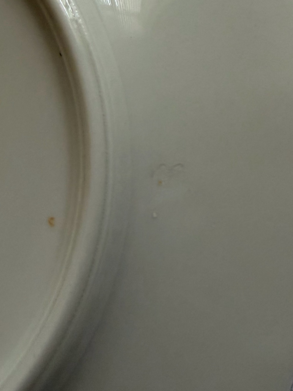 Pair of vintage China Plates, Theodore Haviland Rosalinde Pattern - Picture 3 of 5